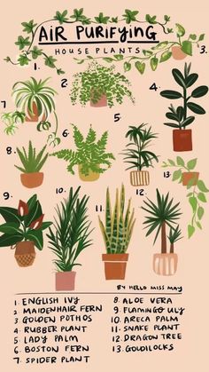 a poster with different types of house plants