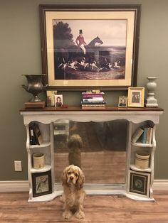 a dog is sitting in the middle of a room with bookshelves and pictures