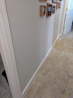 a hallway with pictures on the wall and carpeted flooring in front of it