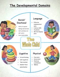 a diagram showing the different types of children's developmental needs for their development and abilities