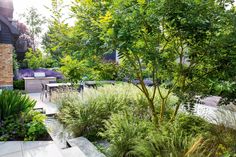 an outdoor garden with lots of plants and trees