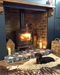 a dog laying on a rug in front of an open fire place