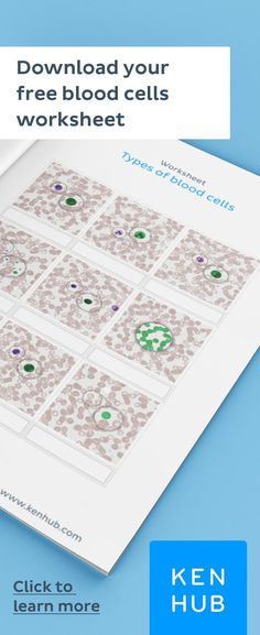 an open book with images of cells and text that reads, free blood cells worksheet click to learn more