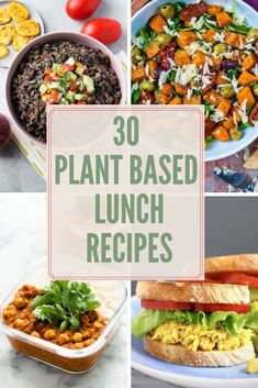 the top 30 plant - based lunch recipes