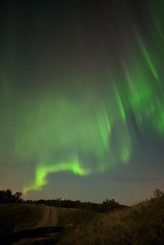 an image of the aurora bore in the sky over a dirt road and grassy field