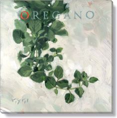 a painting of green leaves on a white background with the words organo in red