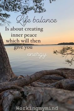 a tree with the quote life balance is about creating inner peace which will then give you energy