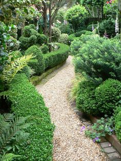 a gravel path in the middle of a garden filled with lots of trees and bushes