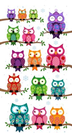 colorful owls sitting on top of a tree branch