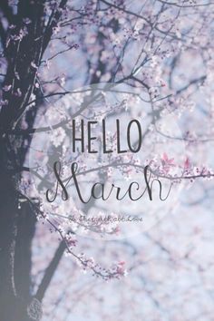 the words hello march are written in black ink on a background of pink and white flowers