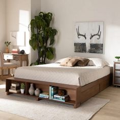 a bed sitting on top of a wooden floor next to a white rug and potted plant