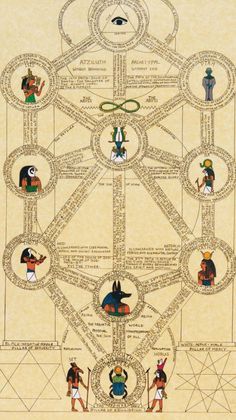 the ancient egyptian tree of life is shown in this image, with many different symbols on it