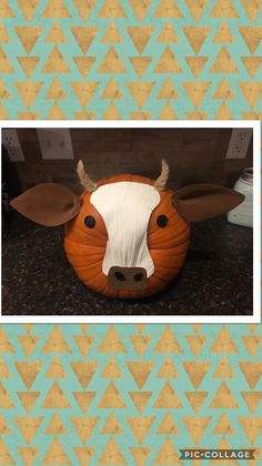 a cow head made out of pumpkins sitting on top of a counter