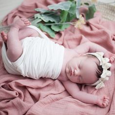 a baby laying on top of a pink blanket next to a flower pot with green leaves