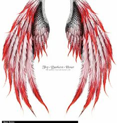 two red and white feathers with the words my perfect hour