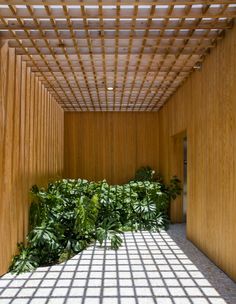 an empty room with wooden slats on the ceiling and plants in the floor area