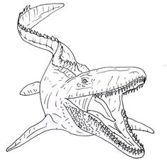 a drawing of a shark with its mouth open