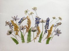 several different types of flowers are arranged on a white surface with green and blue leaves