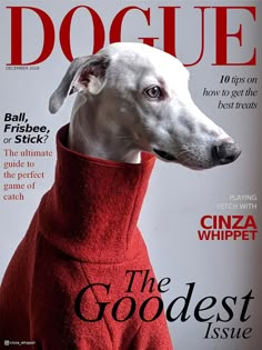 a white dog wearing a red sweater on the cover of a magazine with its head covered in a hoodie