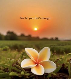 a flower sitting in the middle of a field with a sunset behind it and a quote that reads, just be you, that's enough