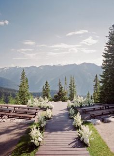 an instagram photo with benches and flowers in the foreground, mountains in the background