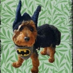 a small brown dog wearing a batman sweater on top of a green and white background