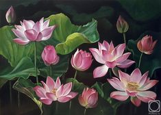 a painting of pink water lilies with green leaves in the foreground and dark background