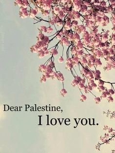 Free Palestine On My Mind, Holy Land, World Peace, My Valentine, Be My Valentine, My Mind, My Family, Vision Board