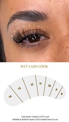 Top layer: Classic 0.12 D curl Middle & Bottom layer: 0.03 closed fans D curl D Curl Lash Extensions Classic, D Curl Lash Extensions, Eye Lash Photography, Curl Lashes, Eyelash Extentions, Lash Extensions, Eyelash Extensions, Eyelashes