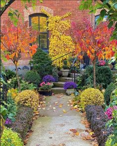 a garden with lots of colorful flowers and plants in the middle of it's walkway