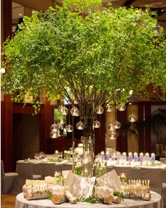 the centerpieces are arranged in glass vases and trees