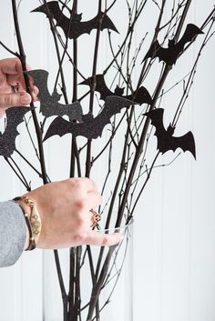 a person is holding scissors near a branch with bats on it and another hand reaching for the branches