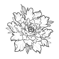 a black and white drawing of a large flower with leaves on the petals, it looks like