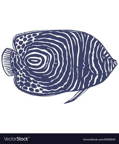 a blue and white fish on a white background