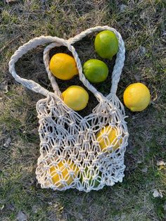 a bag full of lemons and limes sitting on the ground with text overlay that reads diy macrame market bag