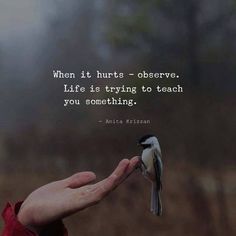 When It Hurts, Word Of Wisdom, Quotes Positive, Reality Quotes, A Quote, Infj, Meaningful Quotes, Great Quotes, Wisdom Quotes