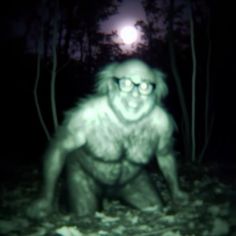 a blurry image of a monkey in the woods at night