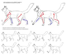 how to draw a cat step by step drawing instructions for beginners and advanced students