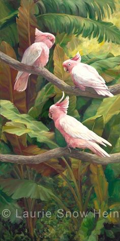 three pink birds sitting on top of a tree branch in the jungle with green leaves