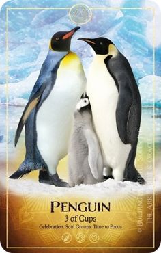 three penguins standing next to each other in front of an iceberg scene with the caption penguin 3 of cups