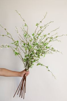 a person holding a bunch of branches with white flowers in it and green leaves on the stems