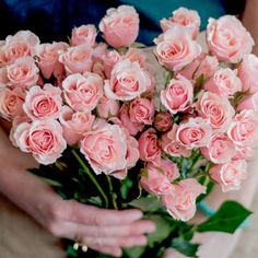 a person holding a bouquet of pink roses