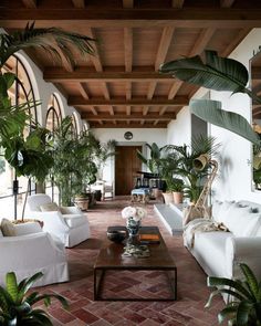 a living room filled with white couches and potted plants on top of them