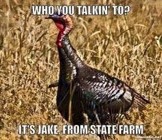 a turkey standing in tall grass with the caption who you talkin'to? it's lake from state farm