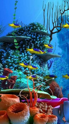 an underwater scene with fish and corals