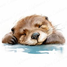 a drawing of a sleeping dog with its head on the ground and eyes closed,