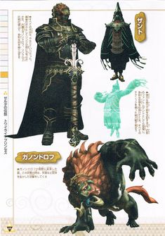 Legend Of Zelda Concept Art, Zelda Monsters, Twilight Princess Concept Art, Zelda Concept Art, Hyrule Castle, Wild Book, Princess Games, Nintendo Art