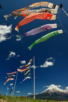 colorful kites flying in the sky with mountains in the background