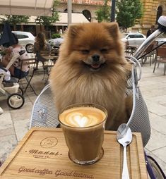 a small dog sitting at a table with a cup of coffee in front of it