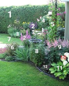 a garden with flowers and numbers on it